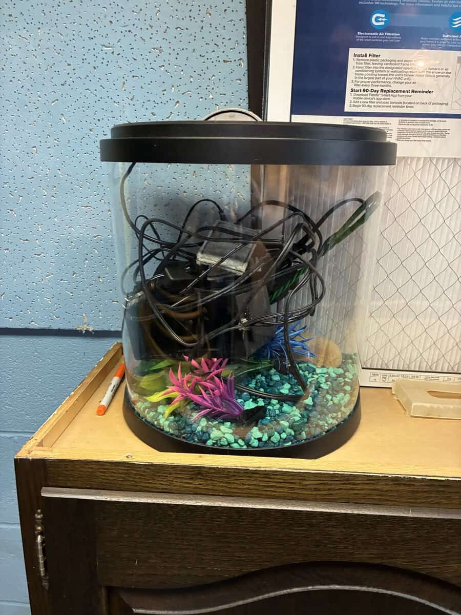 Small fish tank, filter, pump and equipment image 2