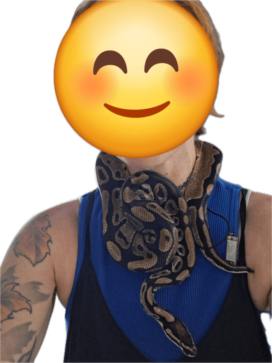 Ball Python with tank and supplies for sale image 2