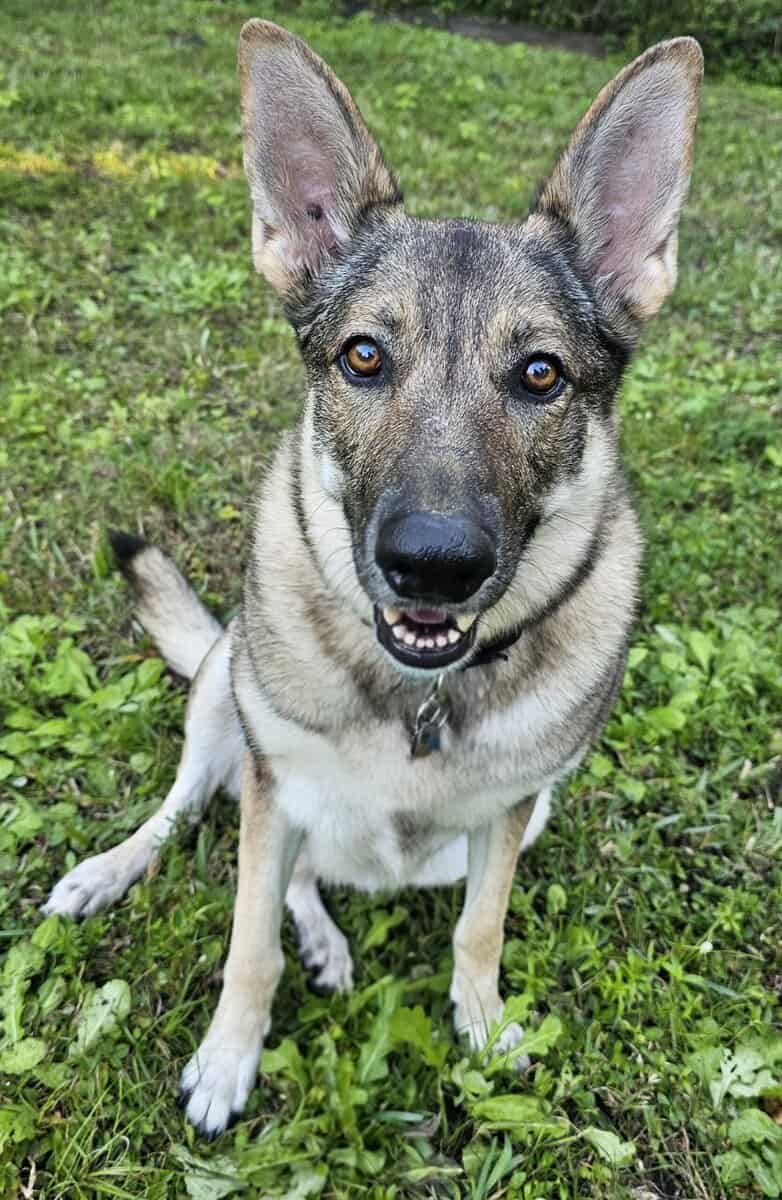 Kaya! image 2