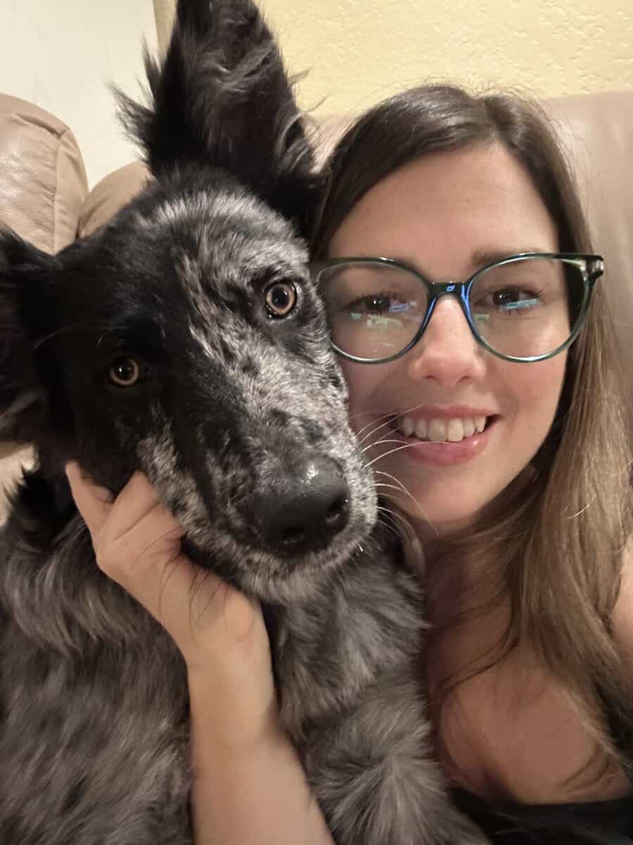 Cookie is ready for a new home! image 2