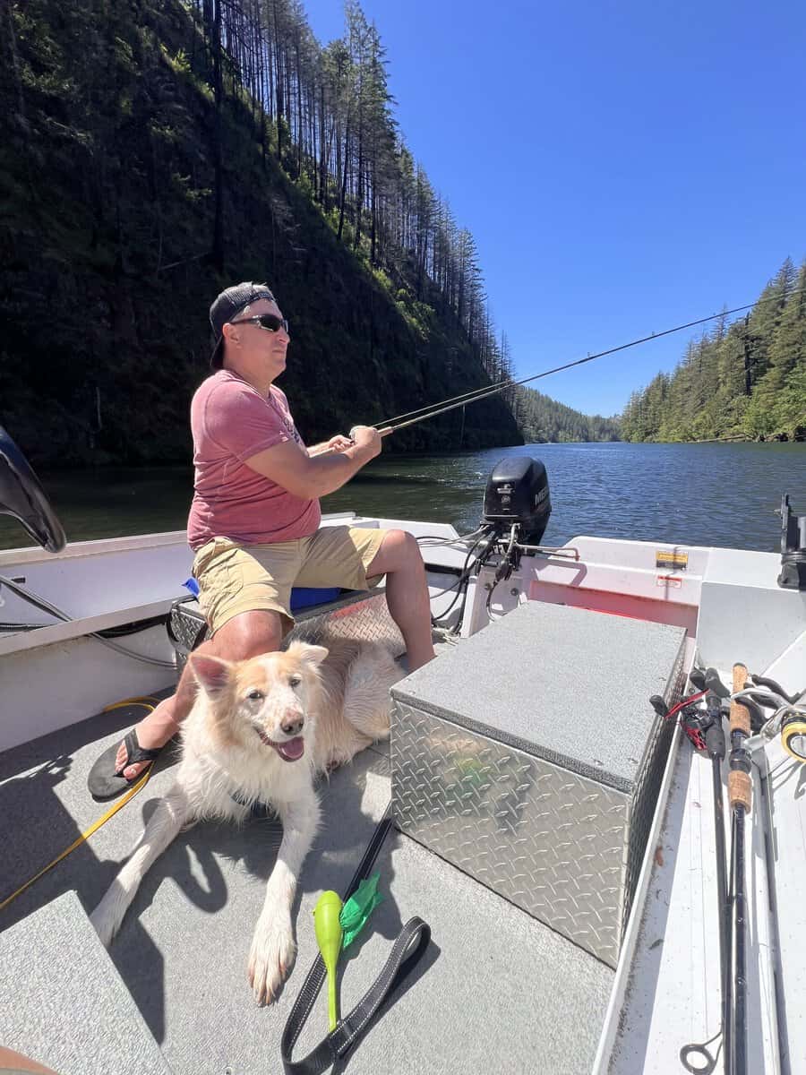 Rehoming Aussie husky mix image 3