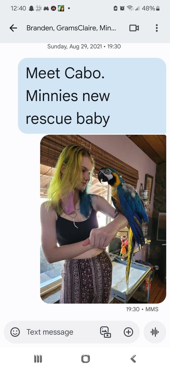 Blue & Gold Macaw image 2