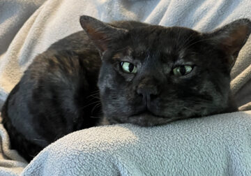 Smoke is very friendly!