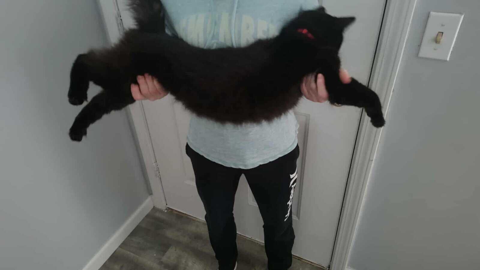 Sneezy & Huntsman image 4