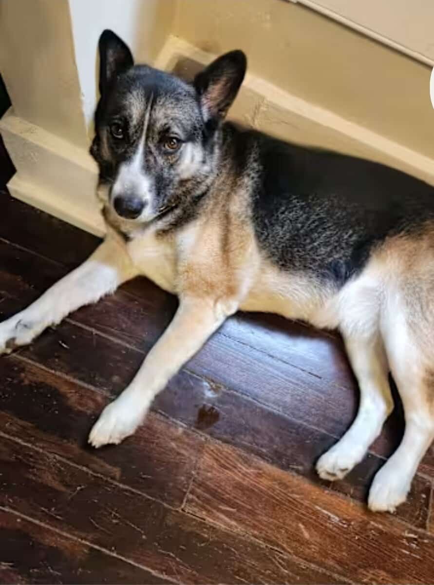 Freya image 3