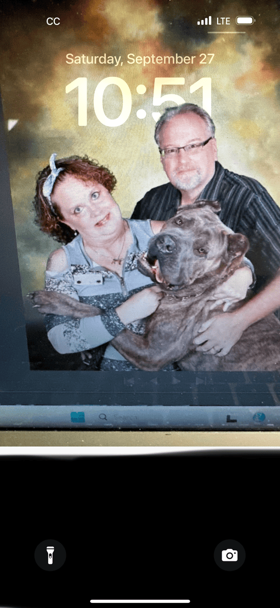 Corso Puppies image 5