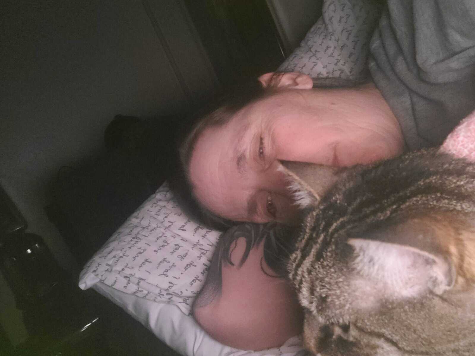 Free cat looking for a new forever home. image 2