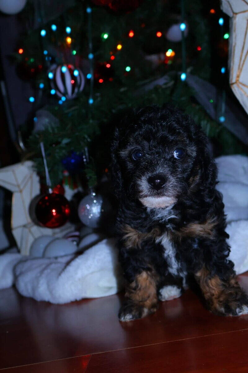 Baby boy image 3