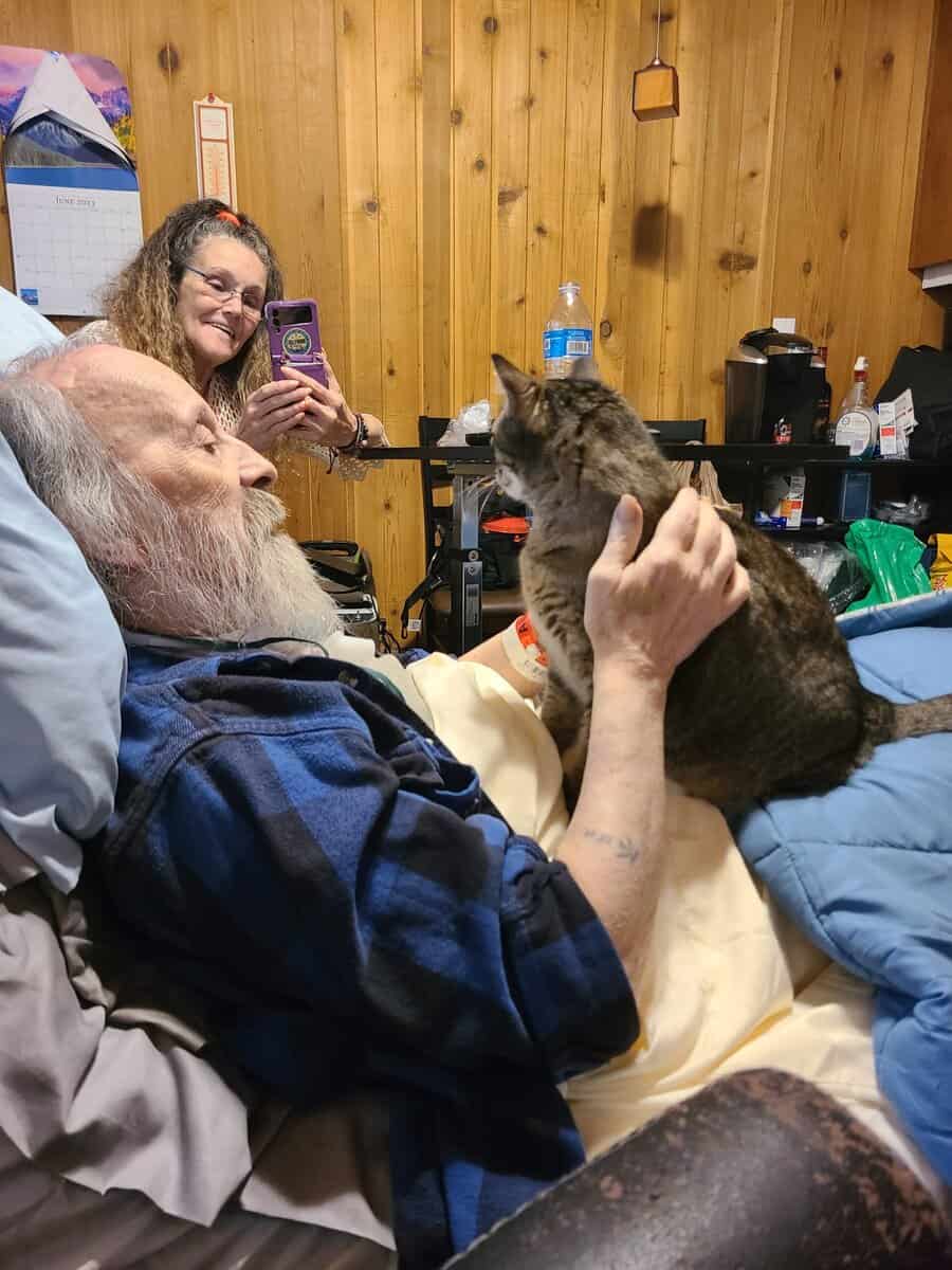 Free cat looking for a new forever home. image 8