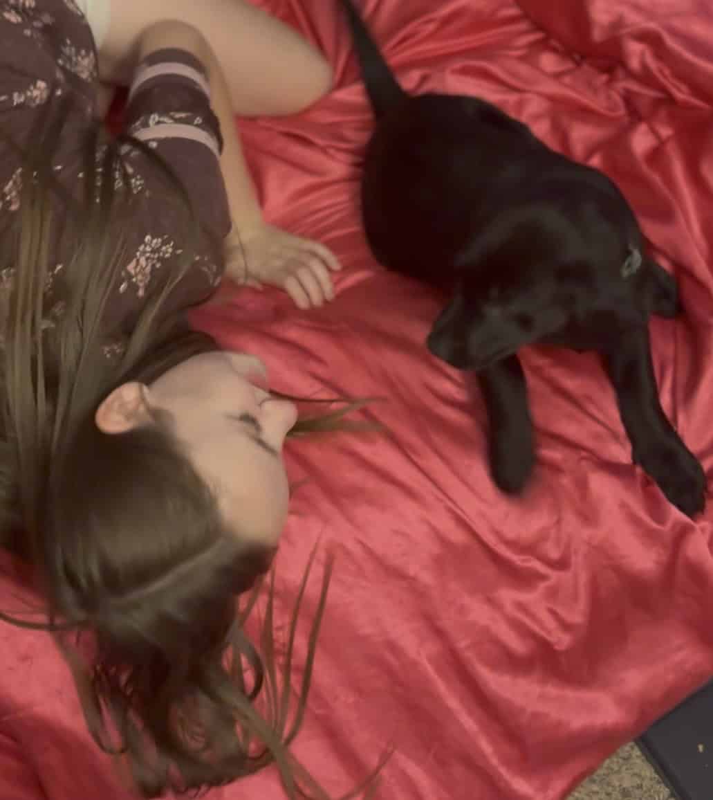 Female American Black Labrador Puppy image 4