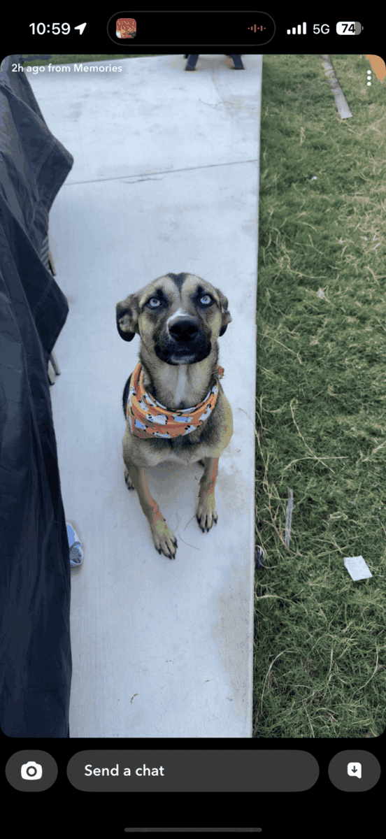 Rehome image 4