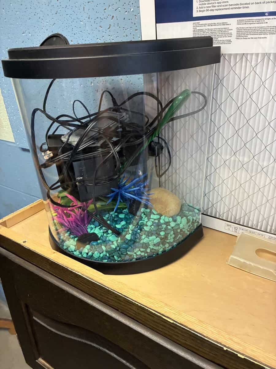 Small fish tank, filter, pump and equipment image 1