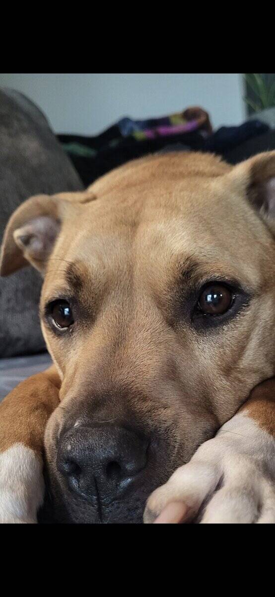 Lola❤️ image 2
