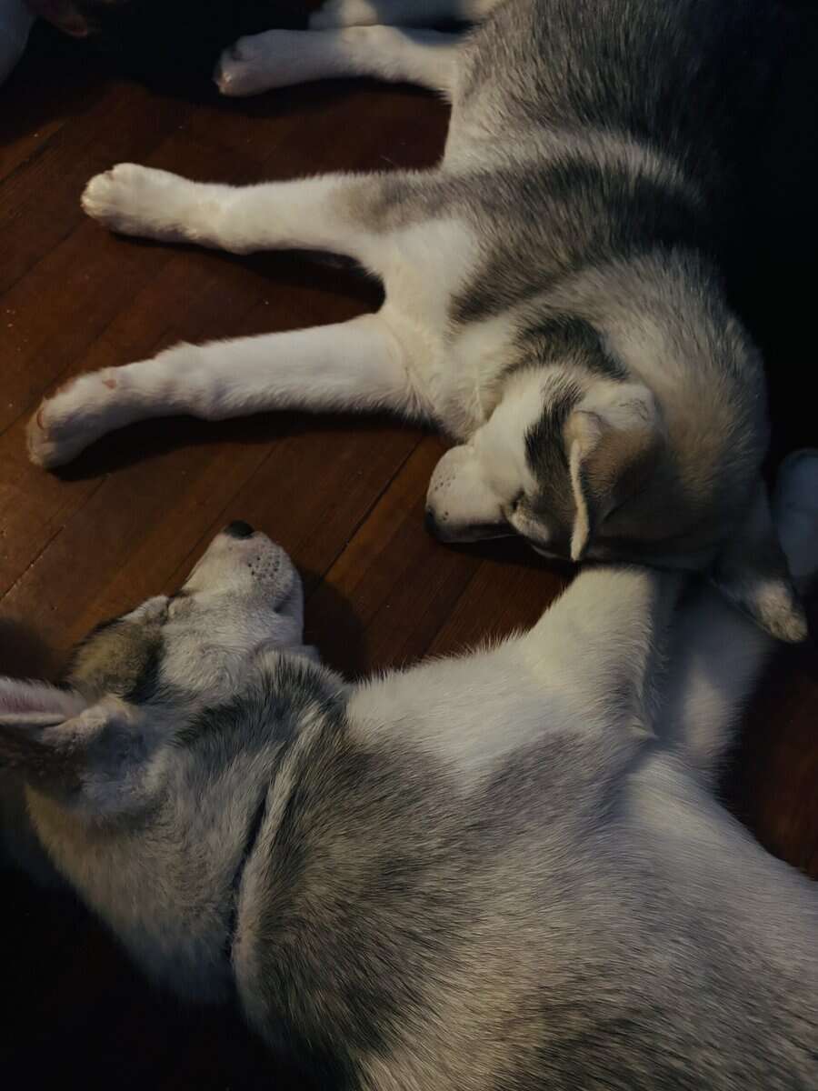 Brother & sister image 1