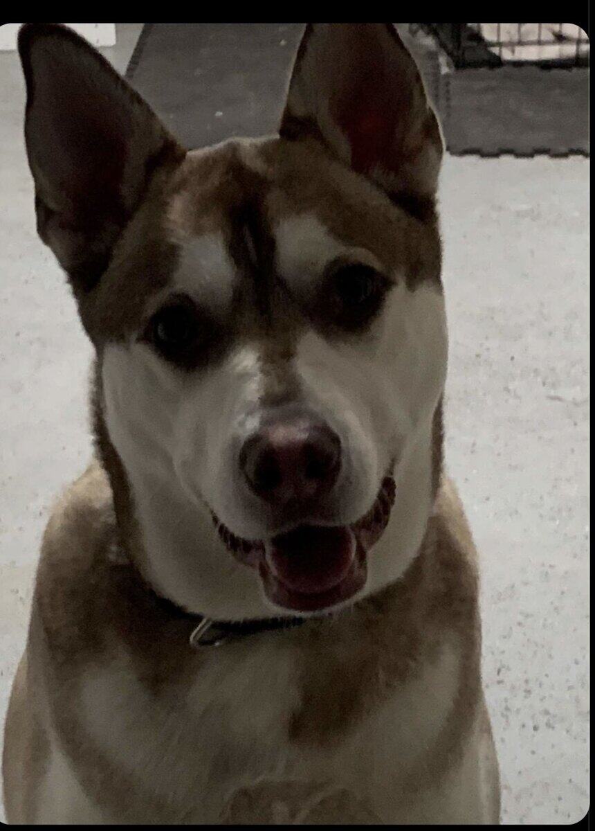 Rehoming image 1