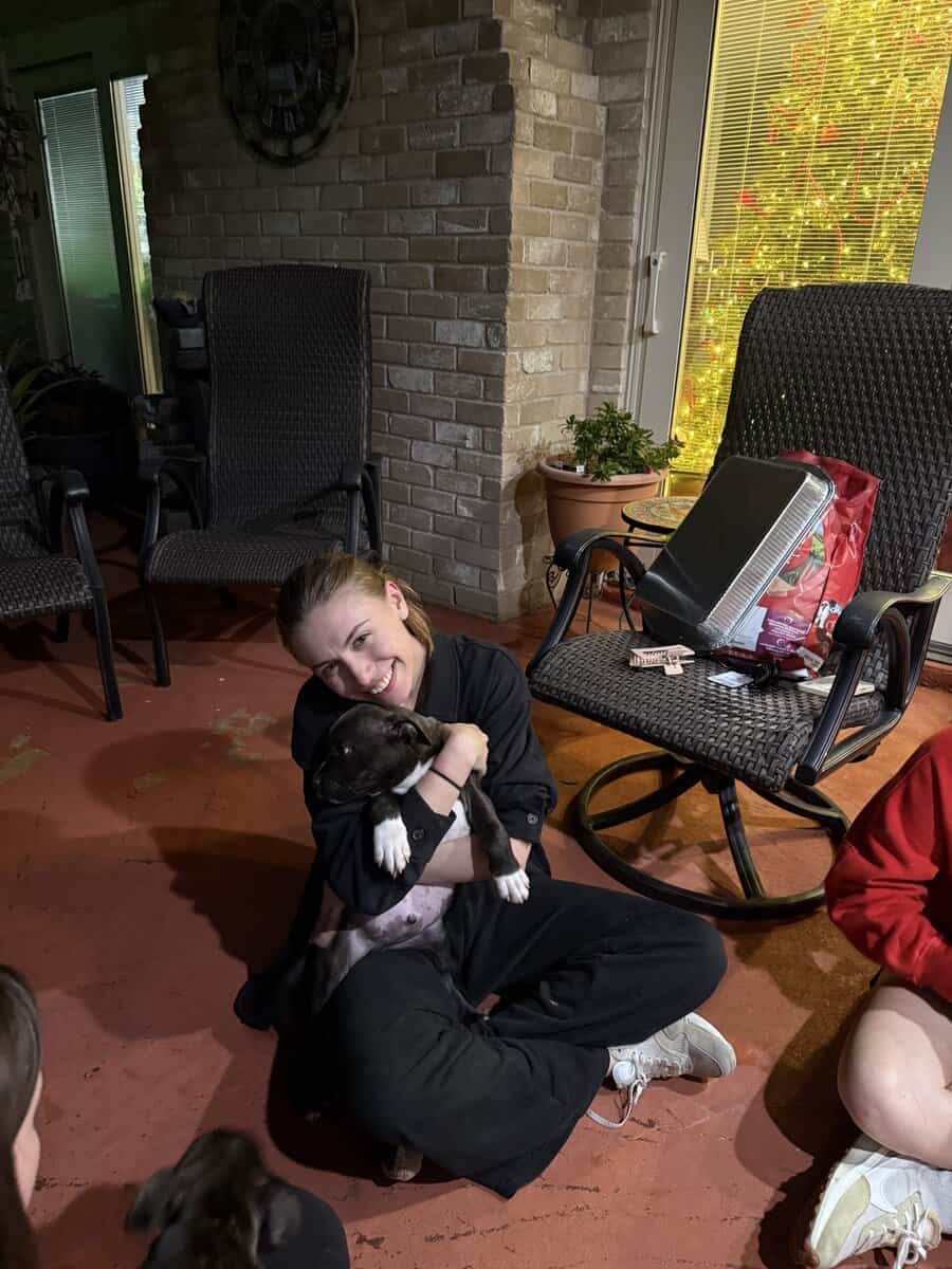 Healthy puppies need a loving home image 9