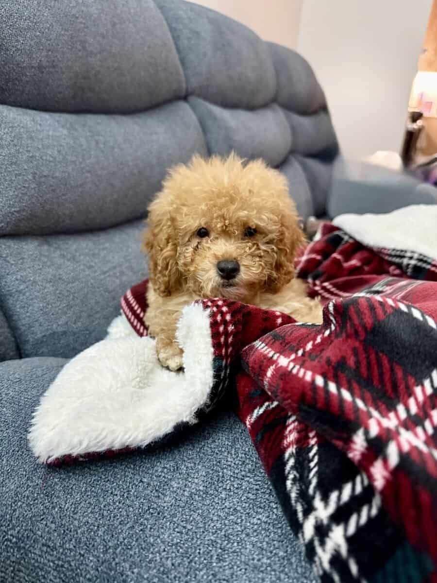 Tuffy image 1