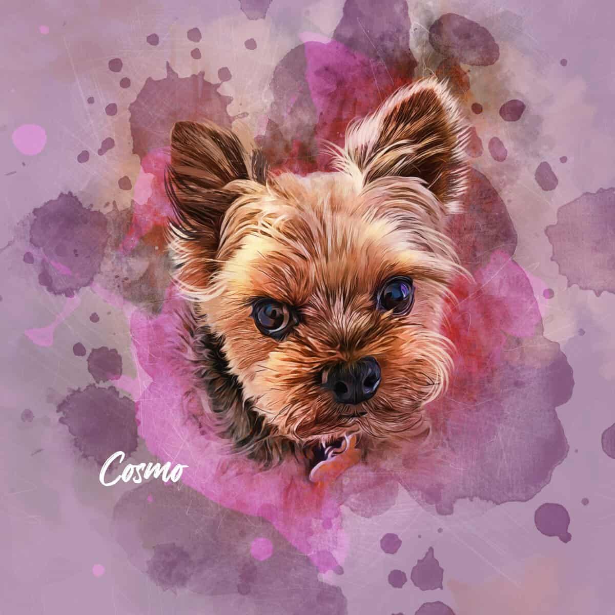 Senior dog image 4