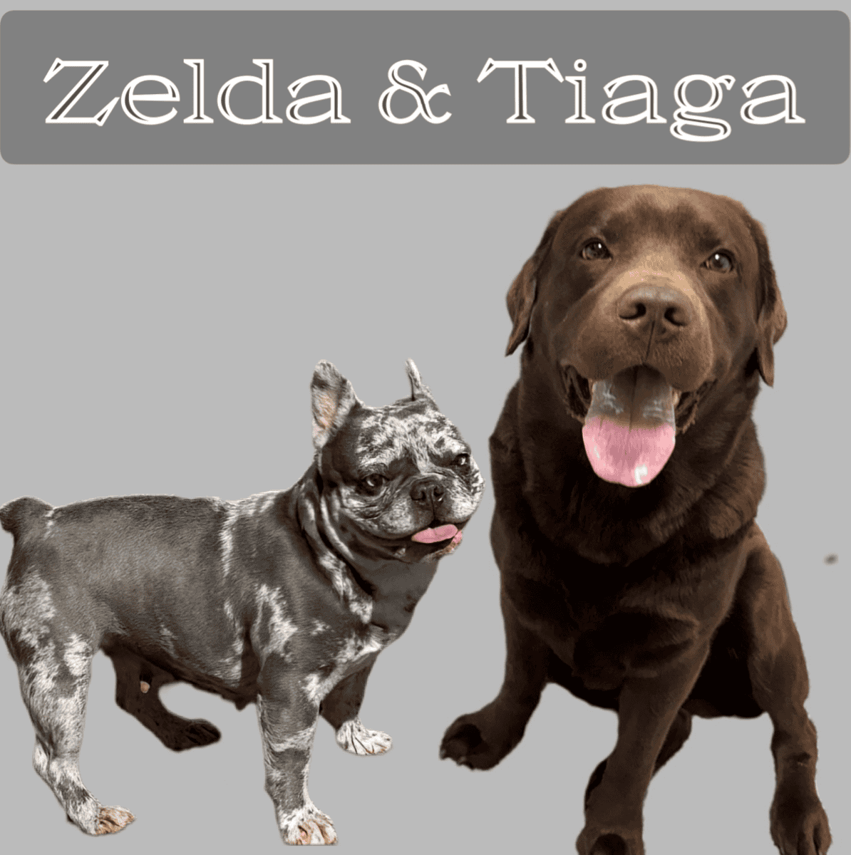 Zelda x Tiaga: Frenchador Litter image 3