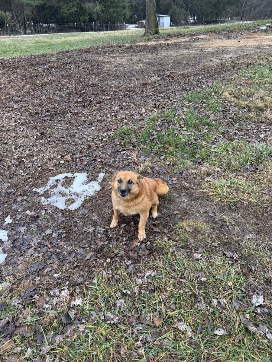 Need to rehome image 1