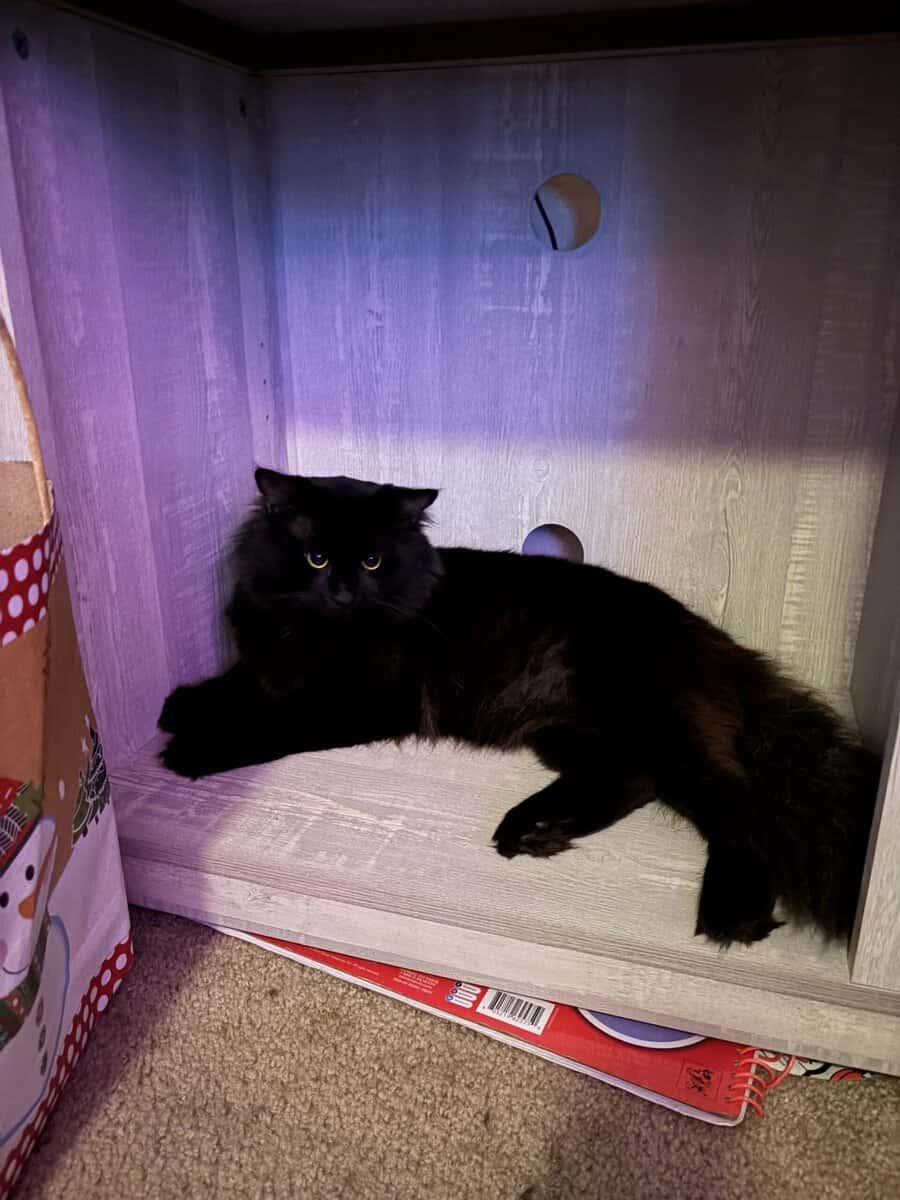 Salem image 2