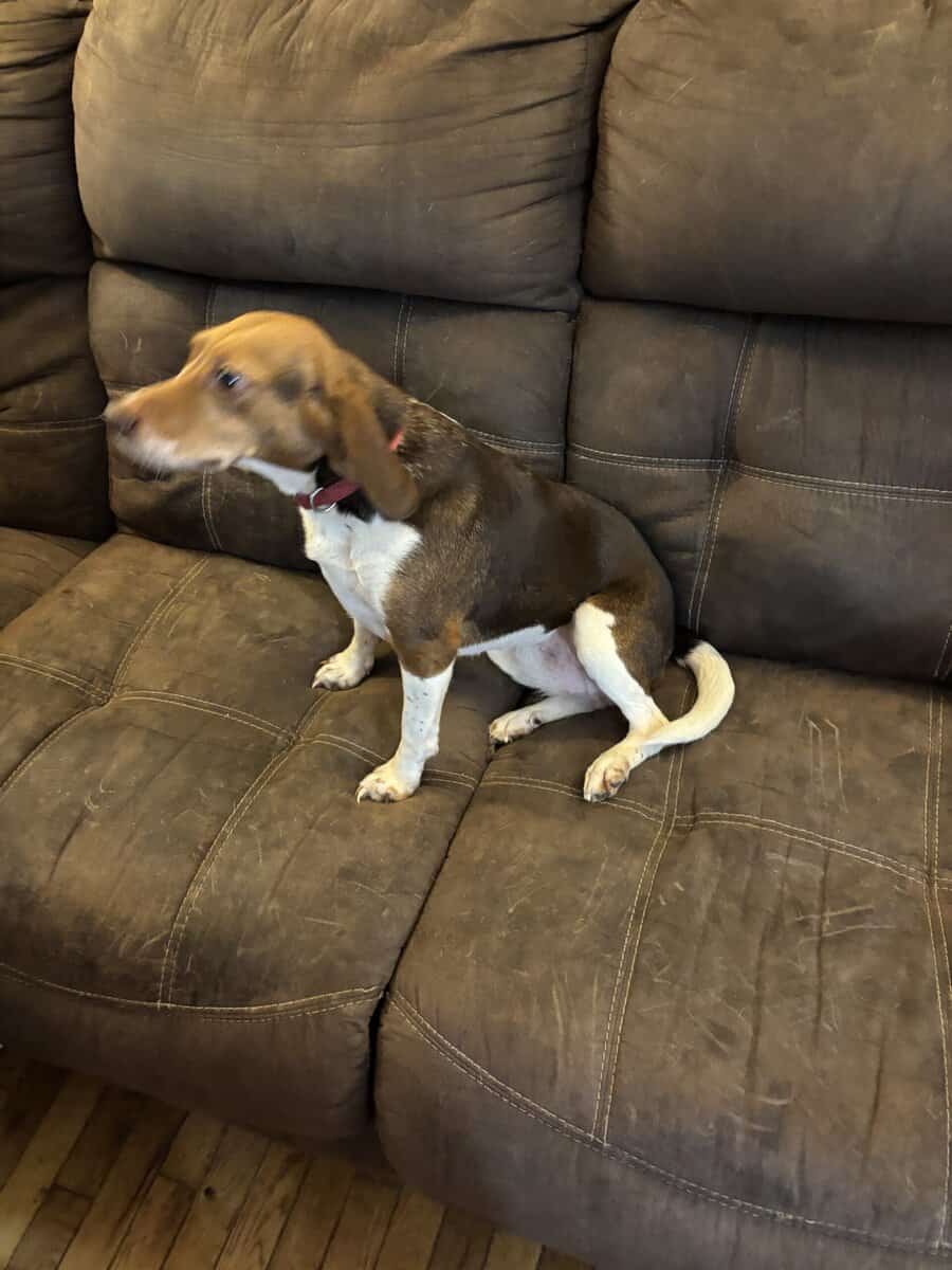 Rescue female image 1