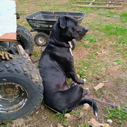 Rehoming Lucky