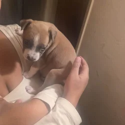 Looking for forever home