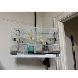 Canaries