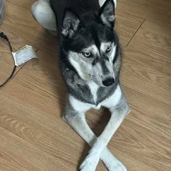 Looking for loving family