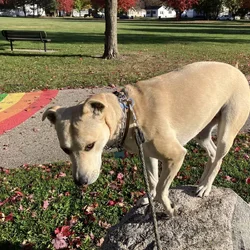 Zoey is looking for you!