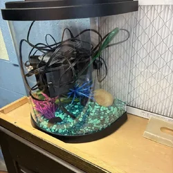 Small fish tank, filter, pump and equipment