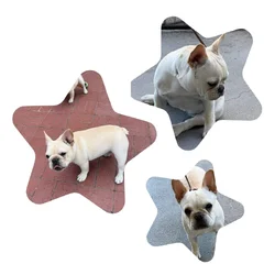 fawn 6 months female French Bulldog