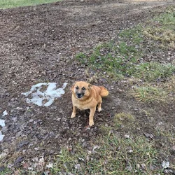 Need to rehome