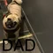 Thumbnail 22