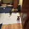 Thumbnail 14