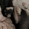 Thumbnail 14