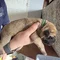 Thumbnail 14