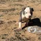 Thumbnail 13