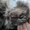 Thumbnail 13