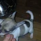 Thumbnail 15