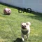 Thumbnail 21