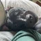 Thumbnail 23