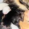 Thumbnail 14