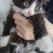 Thumbnail 12