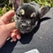 Thumbnail 12