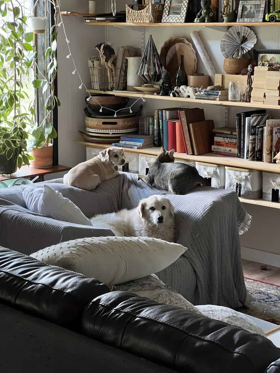 Part Explorer, Part Foodie, 100% Loyal: Meet Baby! image 6