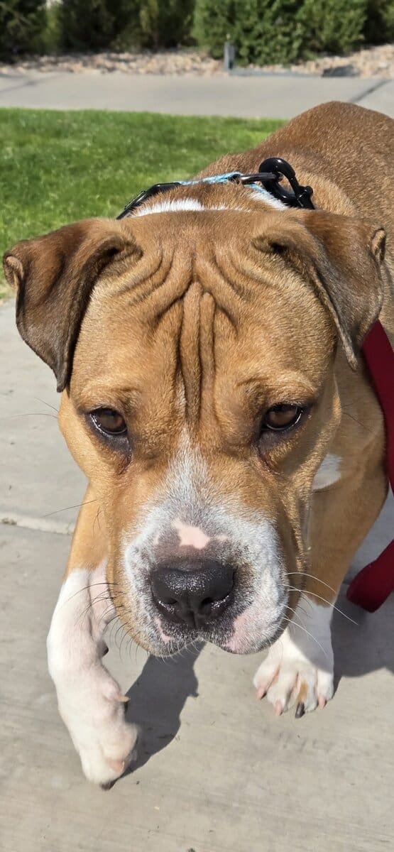 🚨WRINKLE ALERT 🚨 image 5