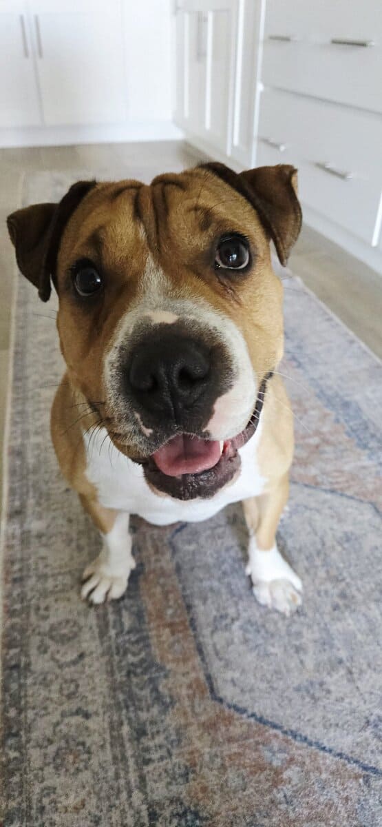 🚨WRINKLE ALERT 🚨 image 4