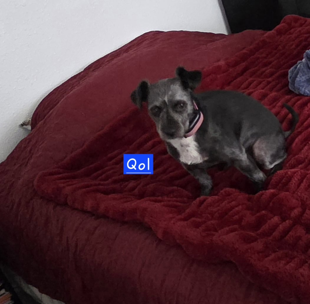 Looking for new home - Qol(Coal) image 4